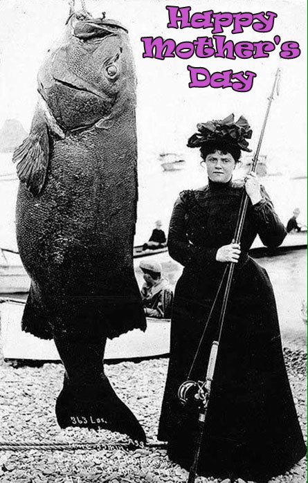 FishChipKitchen's tweet image. Have you booked your table yet? #MotheringSunday #EastRiding #fishandchips #cityofculture #hull2017 #Hull  #cocktail #FishAndChips