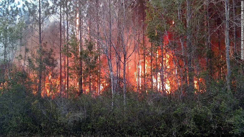 CNN's tweet photo. At least 10 homes in Florida were destroyed in a wildfire caused by a man who was burning books https://t.co/0RwsK4t0p3 https://t.co/jYnt0Z1JOd