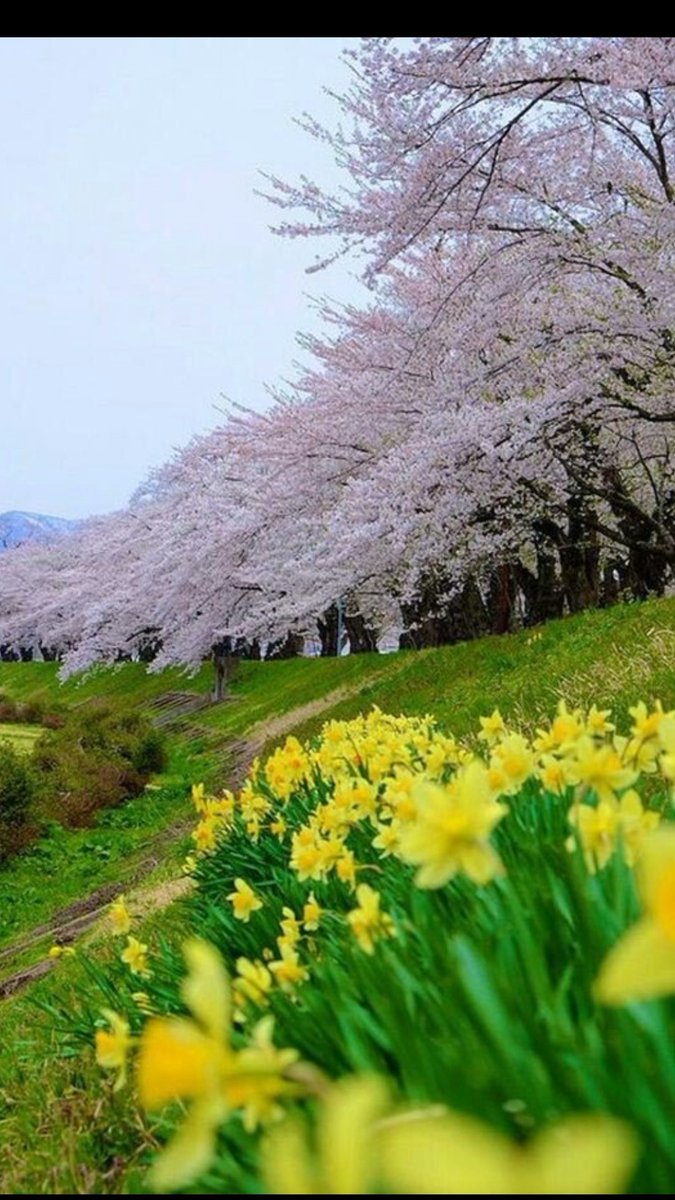 AŞK
ALLAH'a olunca, yol da bitmez yolcu da..
Güven Taşdemir