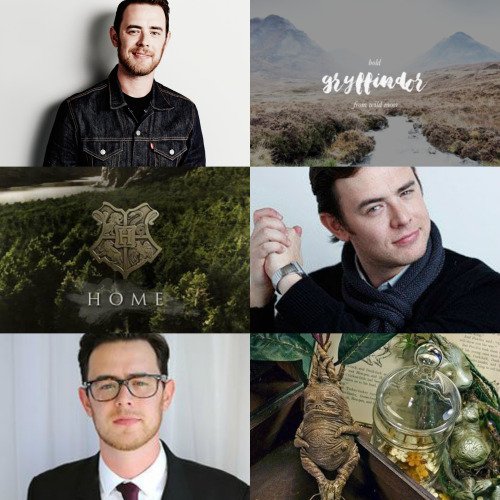 #Sebusca en AscendioRol
Neville Longbottom
Edad: 45 años
Casa: Ex - gryffindor
FC:  Colin Hanks
ficha: ascendiorol.tumblr.com/post/157243974…
#FreeRol #RT