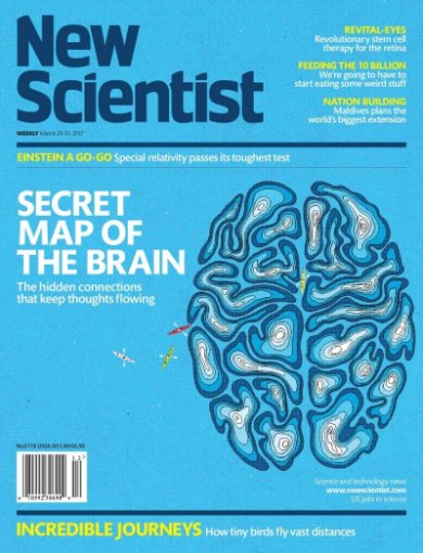 Mind the gaps: the holes in your brain that make you smart. My latest for @newscientist newscientist.com/article/mg2333… @DaniSBassett @martijnheuv