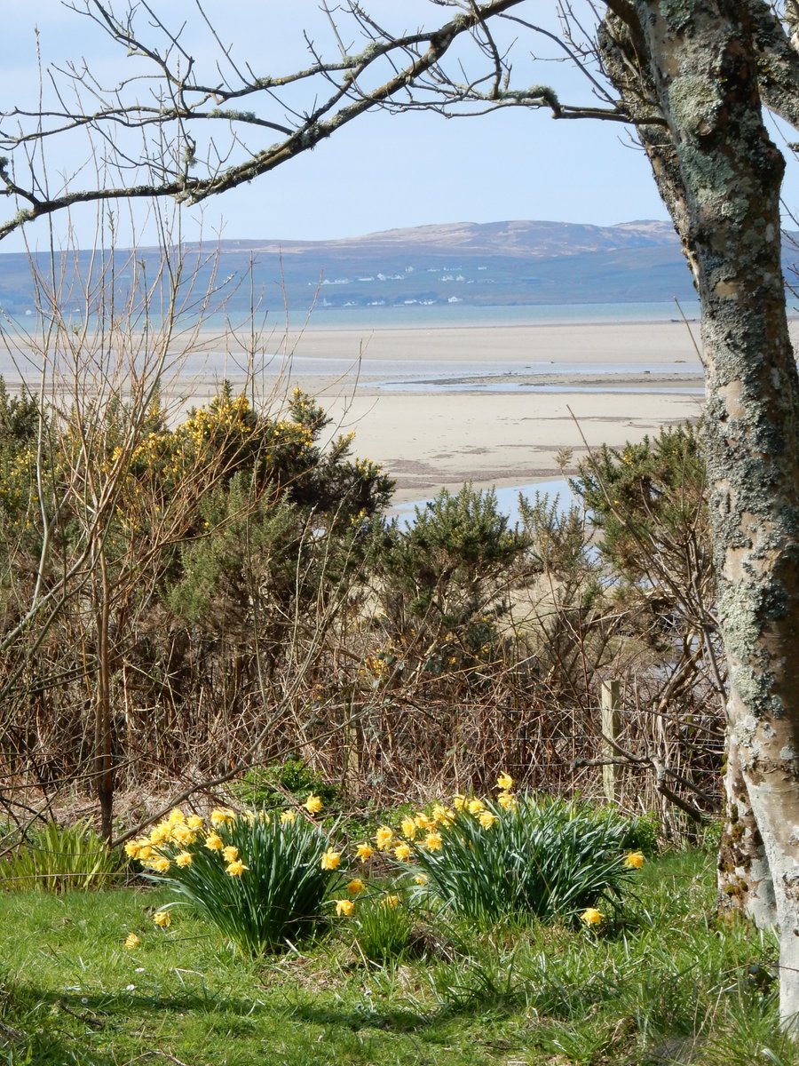 islayestates's tweet photo. A beautiful spring morning on Islay.....hopefully the first of many! https://t.co/LJJzpyb8Cx