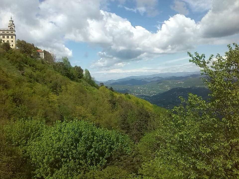 Galgenovese's tweet photo. La #Castagna avanza!
Domani consegna dei cartelli dell'itinerario #StradadelCastagno nei Comuni della Val #Polcevera
#lamialiguria https://t.co/aAd4mPVo5g
