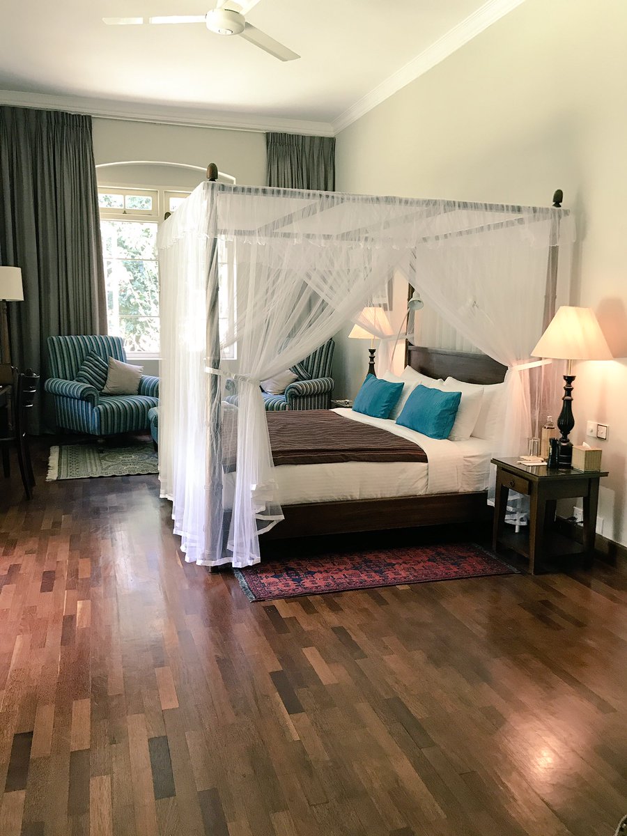 Elinor Perry tweet media