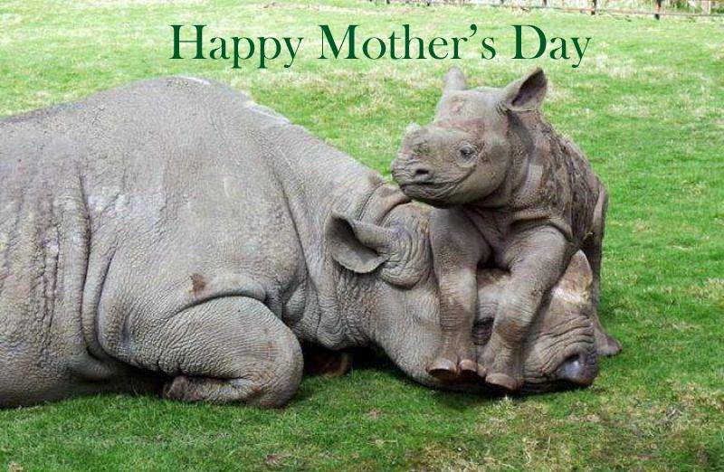 heartofennis's tweet photo. Mothers like more than flowers! Be original this #MothersDay &amp; buy her a unique handmade gift at #ChapelLaneMarket https://t.co/8vaiRwxdjb https://t.co/2ONQkiSWTM