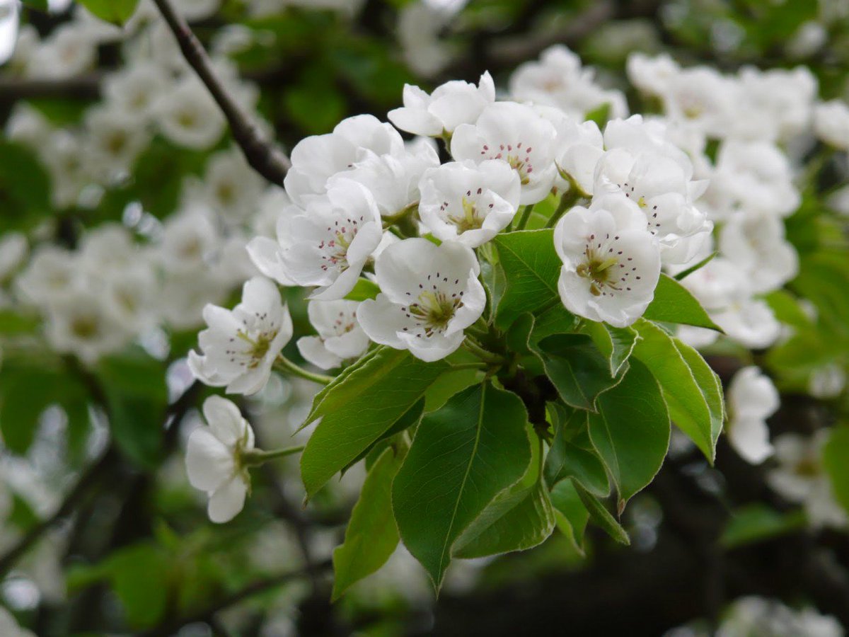 <a href="/lana_liss/">Лана Лисс</a> @rosina_strebig @zuk60 <a href="/barbuleta2/">Barbuleta2</a> @pilot_svb <a href="/garrik05/">♨♨ Гарик  ♨♨</a> <a href="/ferraru777/">🌐⚪ Игорь Белый ⚪🌐</a> <a href="/AdelinaMomy/">Аделина</a> <a href="/SrgPtr/">Сергей Петрович</a> @IAmRajLee <a href="/sergey_silkin/">Sergey Silkin</a>