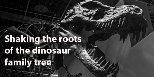 Did #dinosaurs originate in the Northern Hemisphere? A new study suggests they did. cam.ac.uk/research/news/…