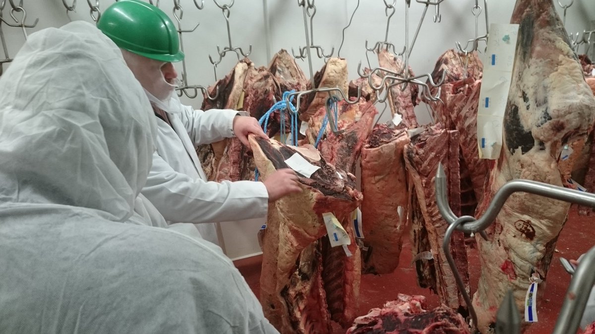 cichefsIan's tweet photo. Students from Colchester Institute at Direct Meats @Directmeats @DingleyDellPork @Passion2Inspire @CI_Principal @CI_CHeFS Thanks Tom &amp; Ryan. https://t.co/o7CY1RUT8M