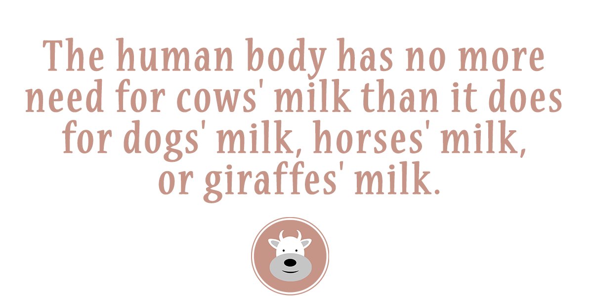 meatnoeat's tweet photo. You are not a baby cow. 🐮 https://t.co/35wX6mRQTv