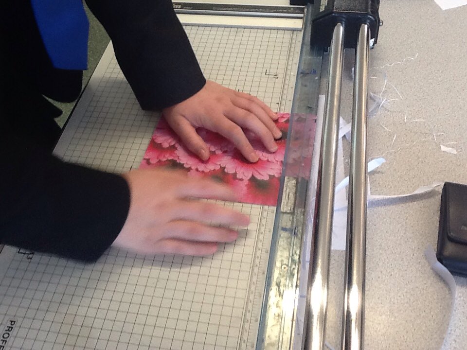 StHildsSchool's tweet photo. A group of @StHildsSchool Year 8 pupils have been working on their photography skills #AlternativeCurriculumDay https://t.co/ukh2dhi0Ae