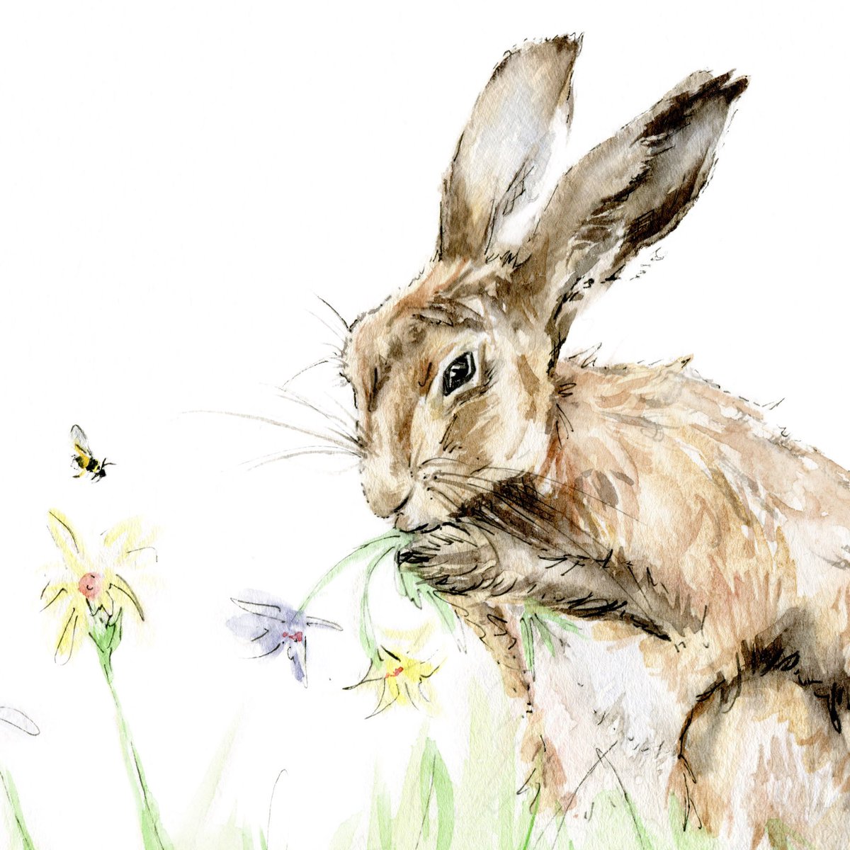 jessica kendrew tweet media