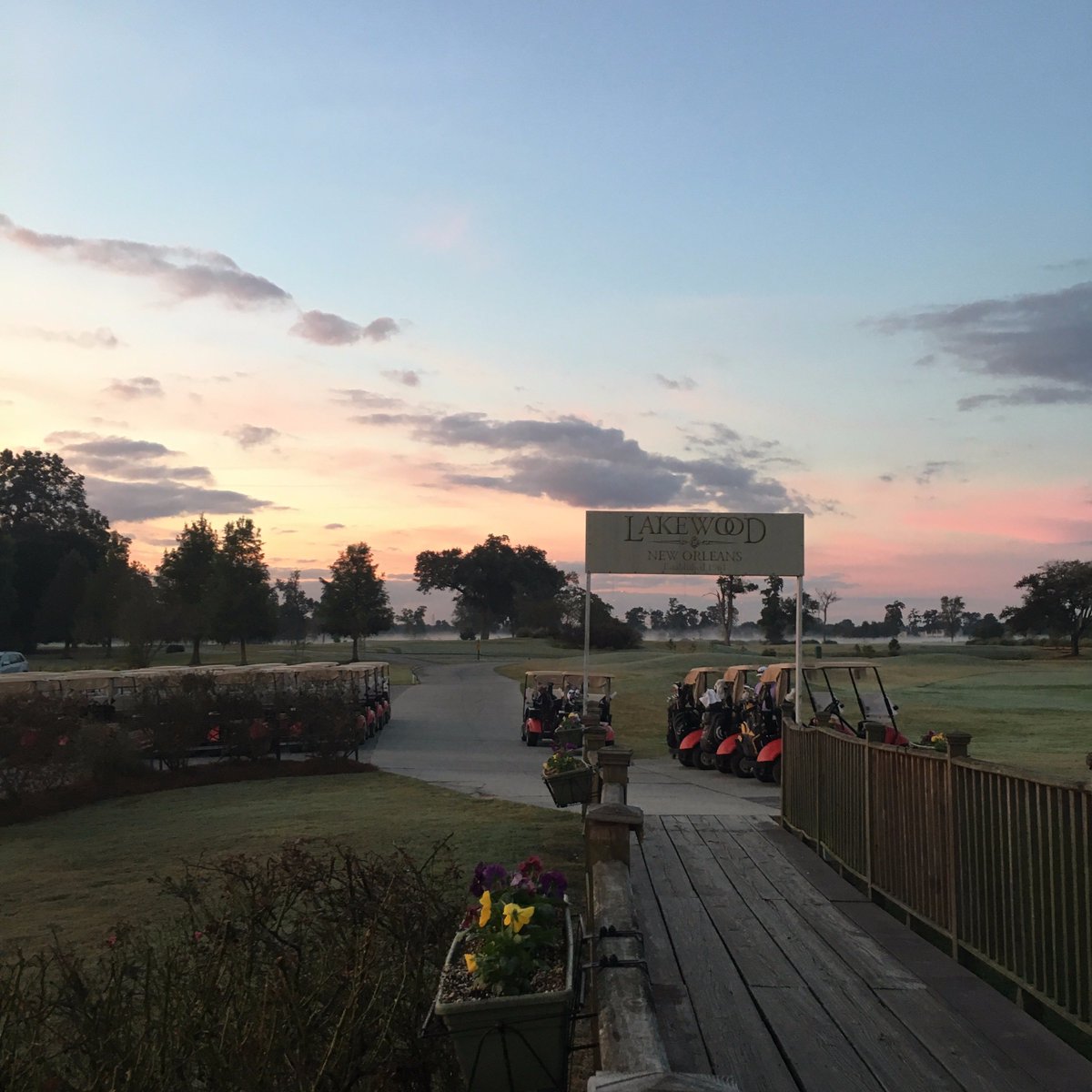 Early worm gets the birdies #followyournola