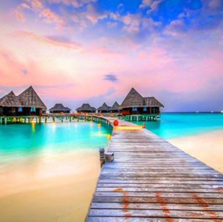 GoldenTreeInc's tweet image. Dream of places like this💜 #goldentree