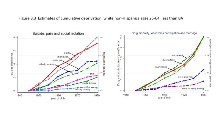 Mortality and morbidity in the 21st century. Case & Deaton, March 2017 #HiAP #SDoH #PEoH brookings.edu/wp-content/upl…