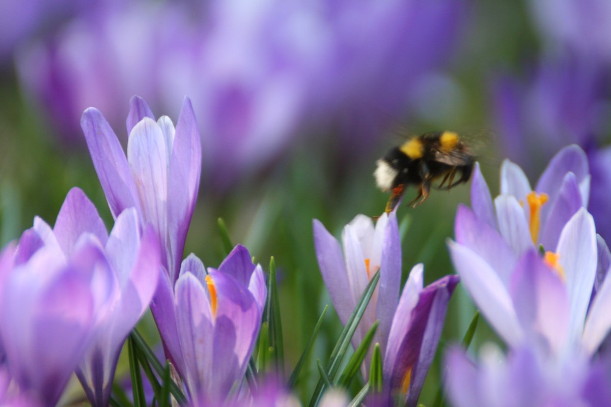 SpringtimeIsGoodTime to check our short story bit.ly/2nMmhWj <a href="/PARCShr/">Parks of Croatia</a> <a href="/UNDPEurasia/">UNDP Eurasia</a> <a href="/UNDPMK/">UNDP MK</a>  <a href="/UNDPBiH/">UNDP in Bosnia and Herzegovina</a> <a href="/UNDPUkraine/">UNDP Ukraine 🇺🇦</a> <a href="/TerraHubCroatia/">Terra Hub Croatia</a>