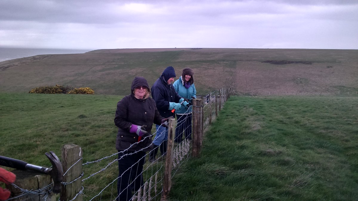Birling Gap tweet media