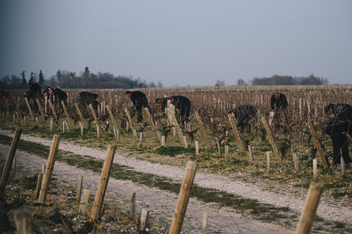 Massimo Giudici tweet media