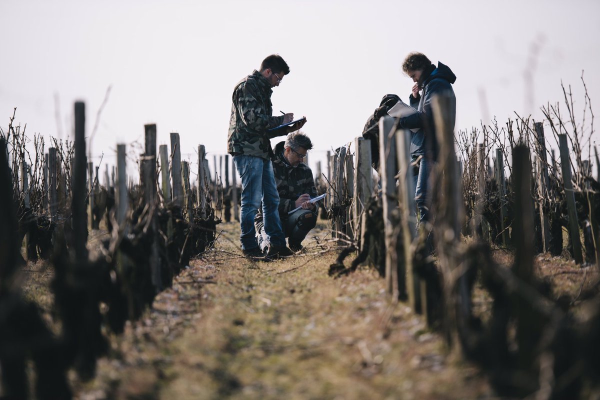 Massimo Giudici tweet media