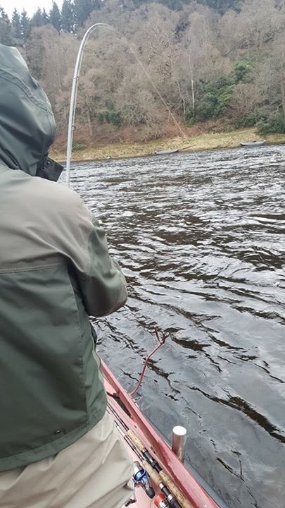 Tay_Salmon's tweet photo. Another day of bent rods at Cargill &amp; Brian Taylor with a stunning fly caught springer. Availability visit https://t.co/6guTSJDfcr https://t.co/O9c9aZic7u