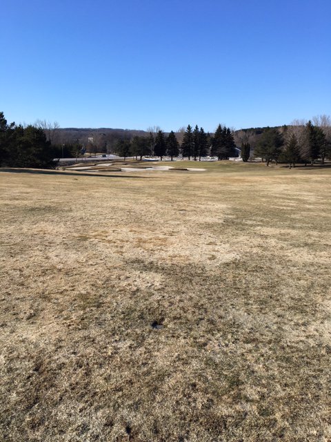 Course is coming around! We will be swinging those sticks before you know! Stay Tuned!!
