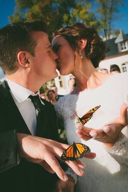 "Lâcher de papillons" vous permet de laisser tous vos voeux s'envoler le jour de votre mariage. Il s'agit d'une entreprise innovante..