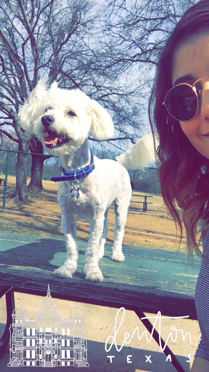 celestedc97_'s tweet photo. Thanks to @DixenBray I can finally post a #NationalPuppyDay ❤❤❤❤ https://t.co/HQu2tQL9xo