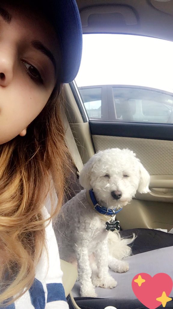 celestedc97_'s tweet photo. Thanks to @DixenBray I can finally post a #NationalPuppyDay ❤❤❤❤ https://t.co/HQu2tQL9xo