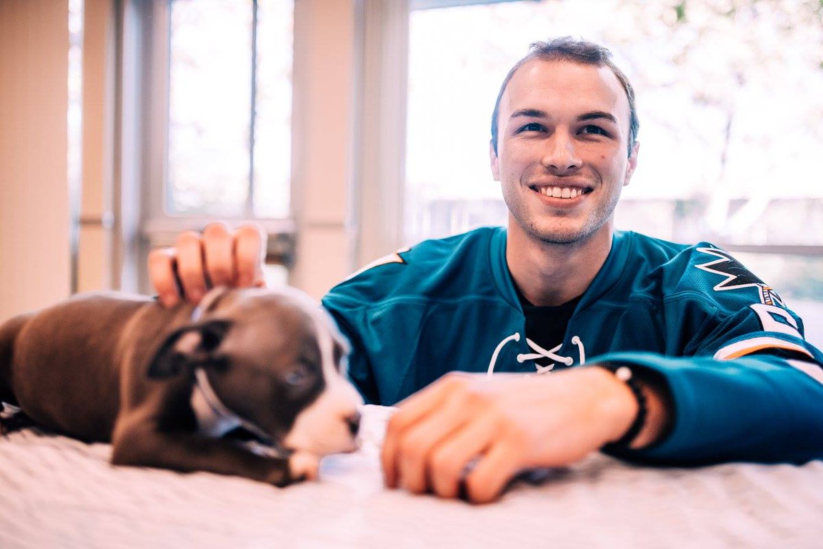 Sharks Press tweet media