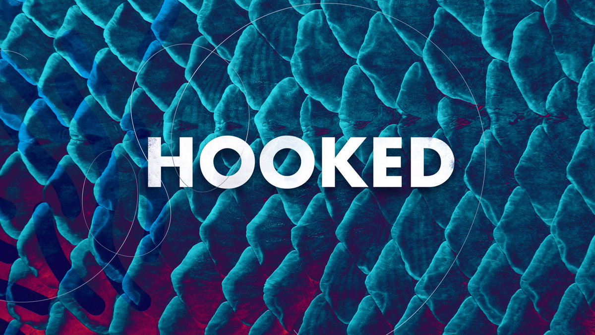 newlifechapel's tweet photo. Get HOOKED with NLC this Sunday! We have amazing experiences planned. Invite your friends & family. 9:30 & 11 #lovenewlife #hookedNLC https://t.co/HR49SVYBdw