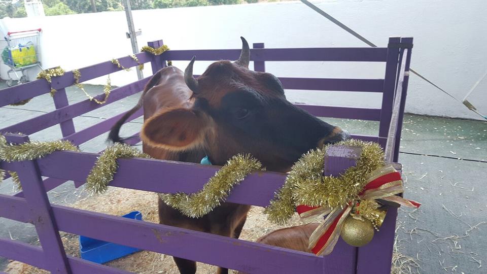 Caroline Bina (@caroline_bina) on Twitter photo 