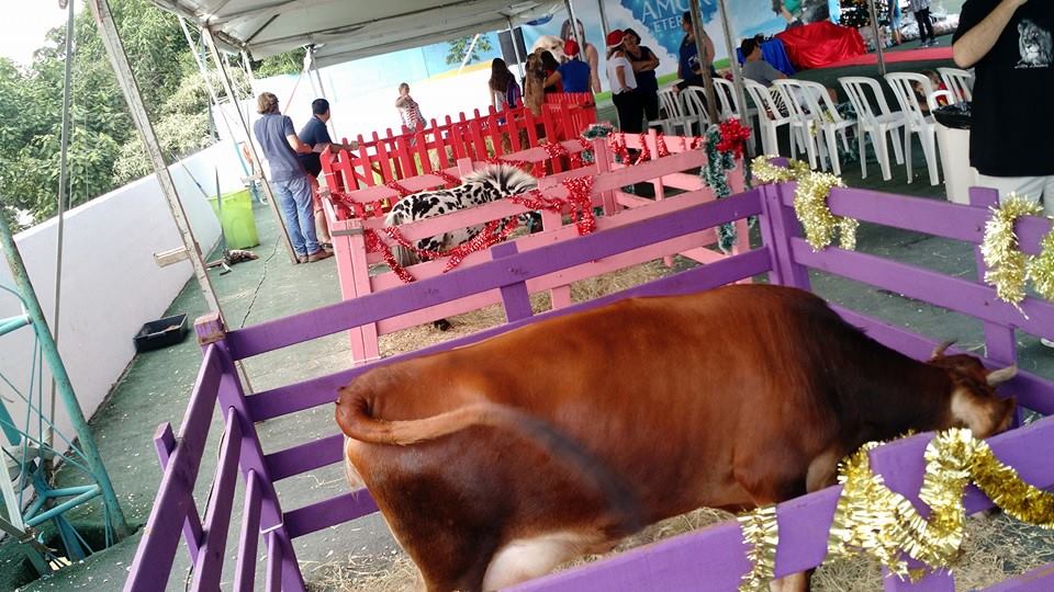 Caroline Bina (@caroline_bina) on Twitter photo 