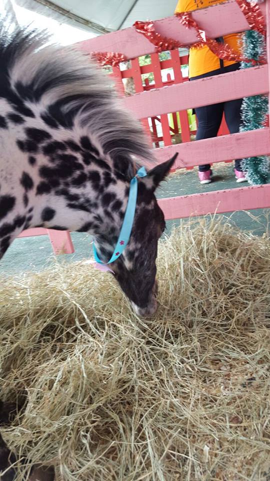 Caroline Bina (@caroline_bina) on Twitter photo 