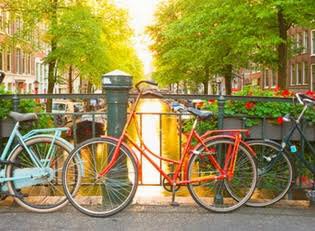 RoyalMover's tweet photo. Relocation options for moving to The Netherlands https://t.co/rMn1PFhvOQ @ExpaticaNL https://t.co/zAvSpL1eEM