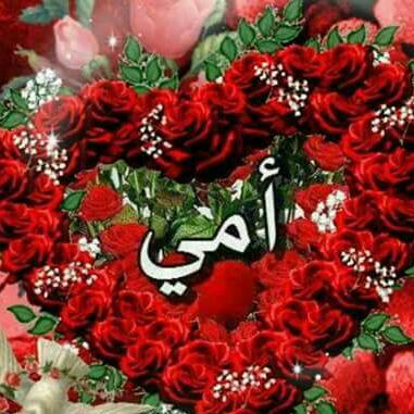 ywssf (@ywssf4) on Twitter photo 