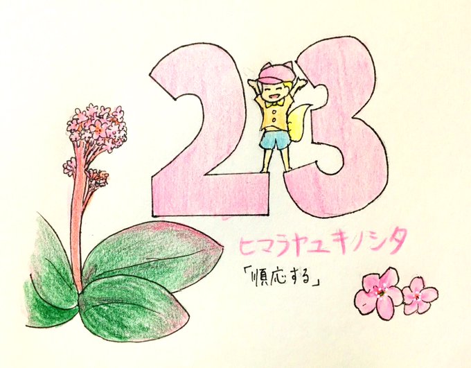 今日の花のtwitterイラスト検索結果 古い順