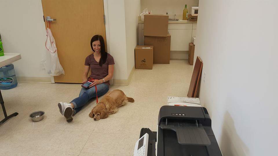 BKCS_Inc's tweet photo. #NationalPuppyDay and #TBT we couldn't find a more fitting picture of the #BKCS official mascot, LULU (and Nina) ! #bkconnectedsolutions https://t.co/yZIxj2pbIx