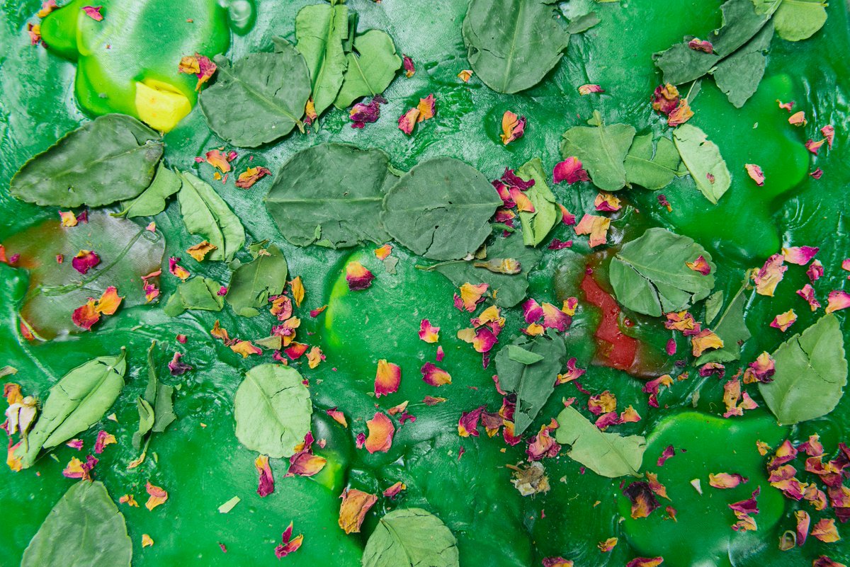 Lush Kitchen On Twitter Peter Took A Tiptoe Through The Tulips