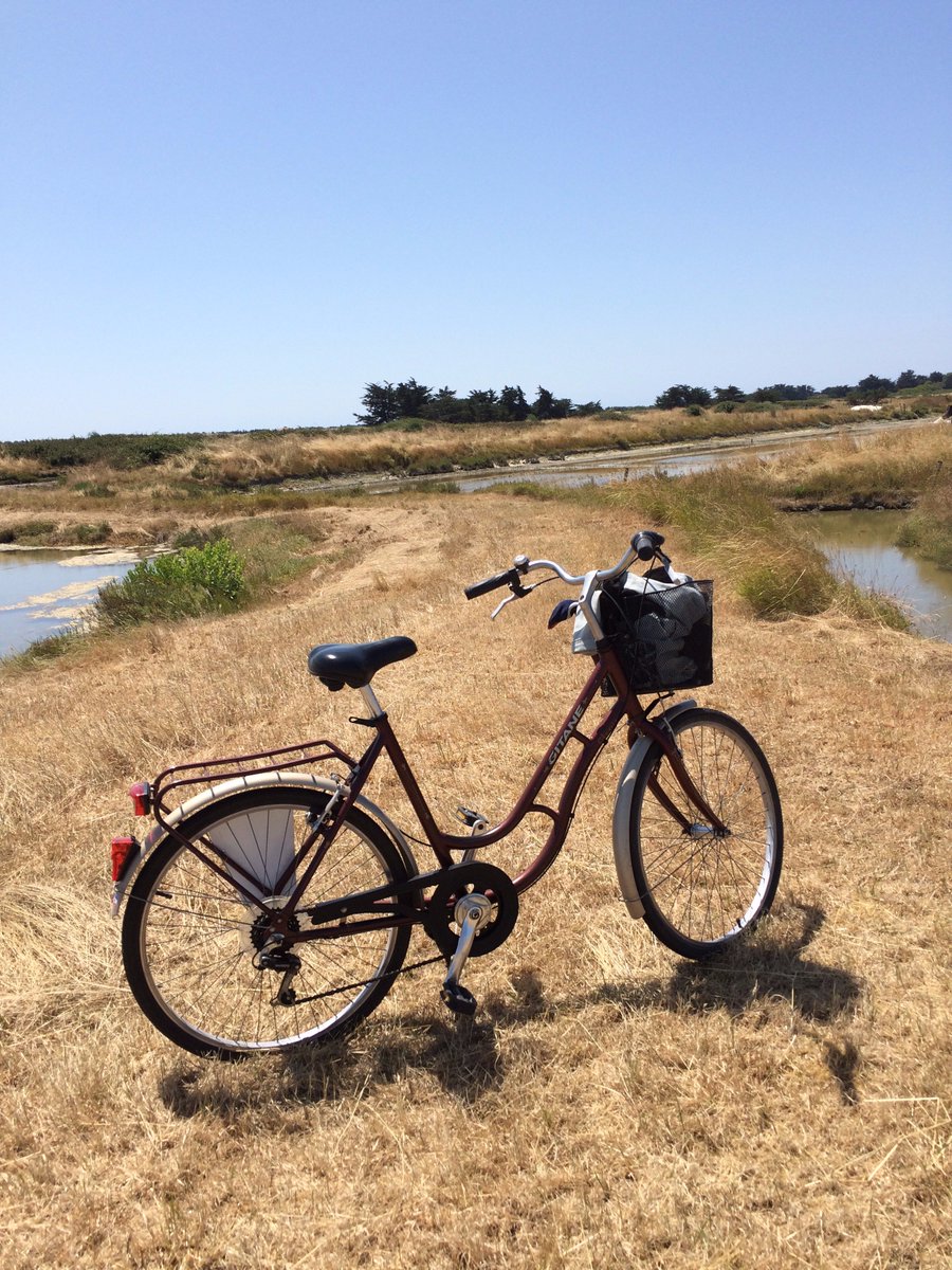 GoToo_app's tweet image. le vélo c'est bien, mais oublier pas le port du casque pour les enfants de moins de 12 ans ! #vélo #casque #loi