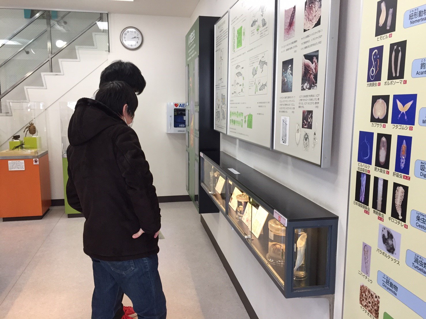 玉川大学生物自然研究部(なまけん) on X: 玉川大学生物自然研究部(なまけん) on X: