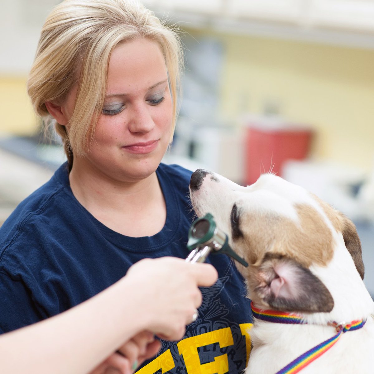 National FFA tweet media