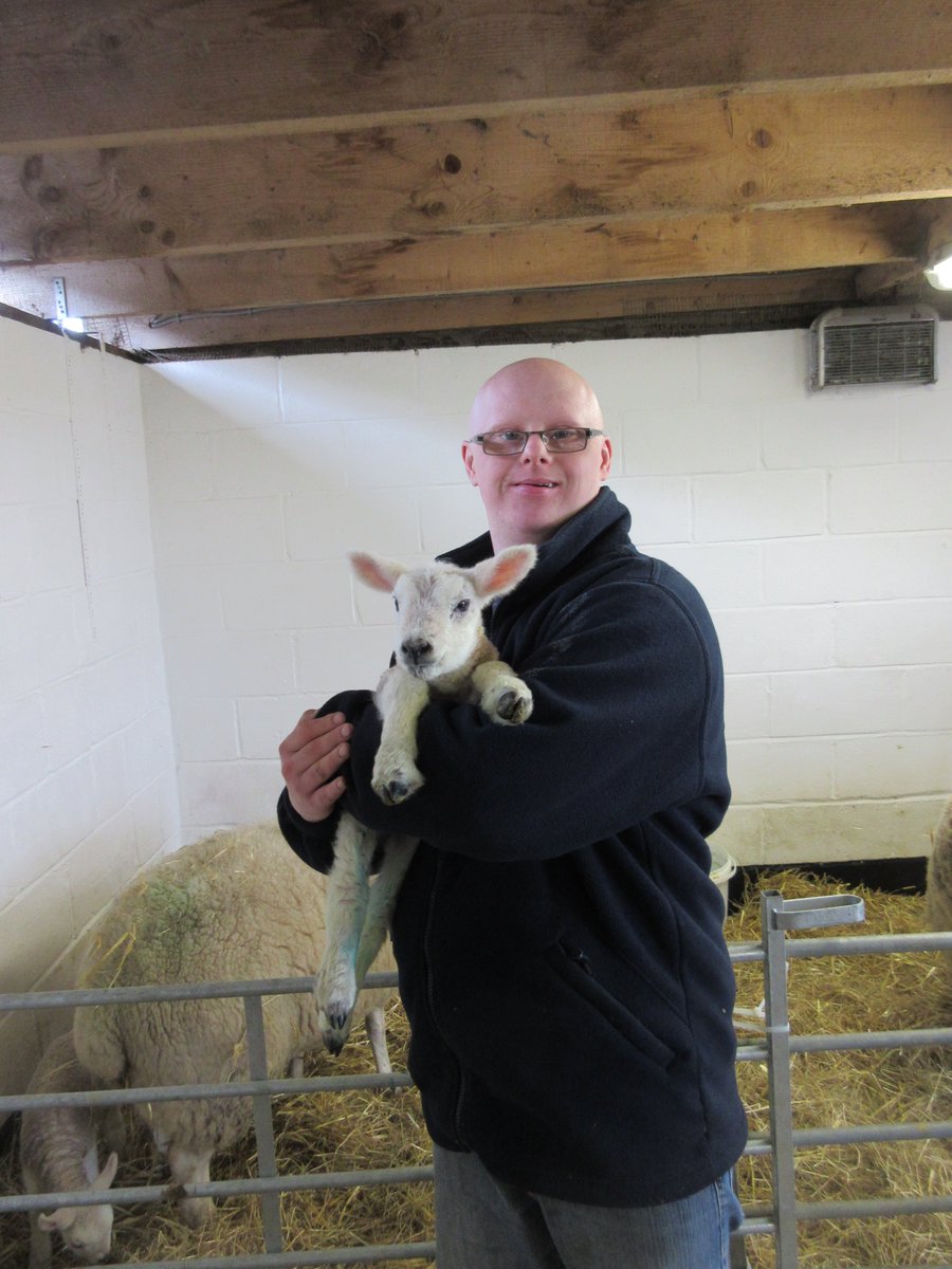 EastHullComFarm's tweet photo. One more sheep left to lamb now. This year we have had singles, twins and triplets. They are all really cute https://t.co/QSDxNx0QiO