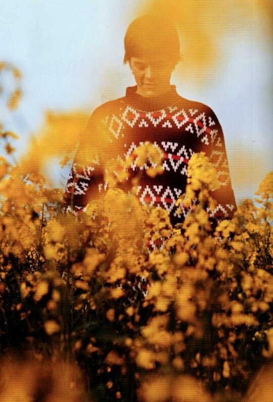 spaceofics's tweet photo. Flowers, by @AnneFontenelli 
Link: https://t.co/HNmGUQUgFu https://t.co/f1TJ5Zsgsf