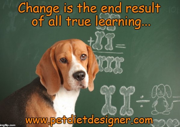 Pet Diet Designer tweet media