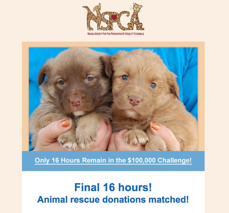 NevadaSPCA's tweet photo. Final 16 hours!
$100,000 Animal Rescue Matching Challenge 
Thank you very much to everyone participating!
#nvbiggive
https://t.co/nT3Fzbli5C https://t.co/s4TDdlrd5N