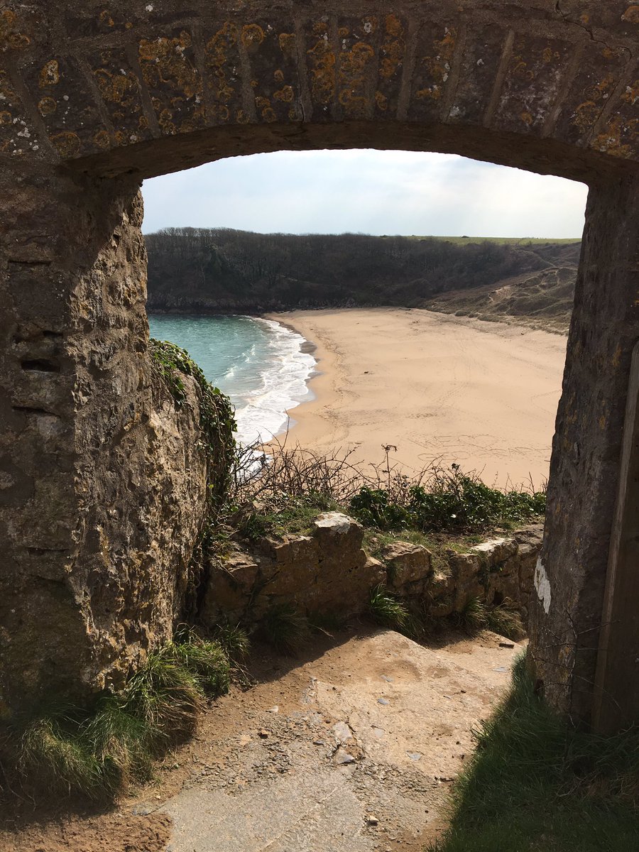 stackpole2017's tweet image. 