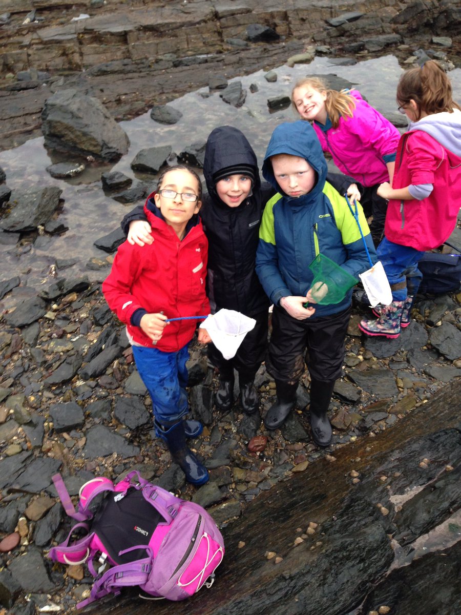 stackpole2017's tweet image. 