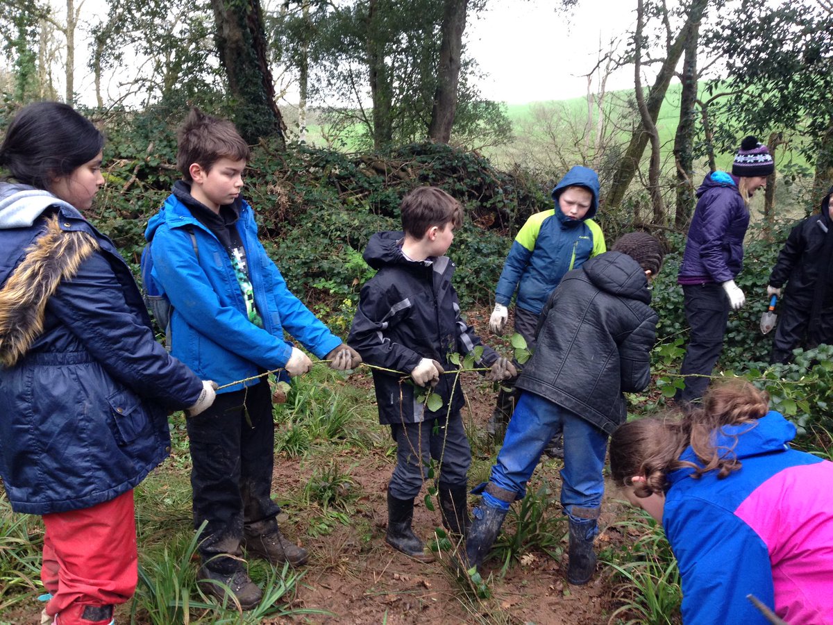 stackpole2017's tweet image. 