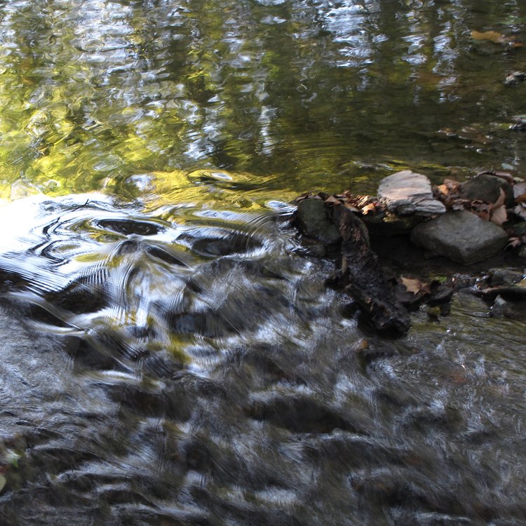 Each year we're lucky to have many talented, local #KC photographers join us in September. Apply to exhibit today! ow.ly/FoyA30a7szE