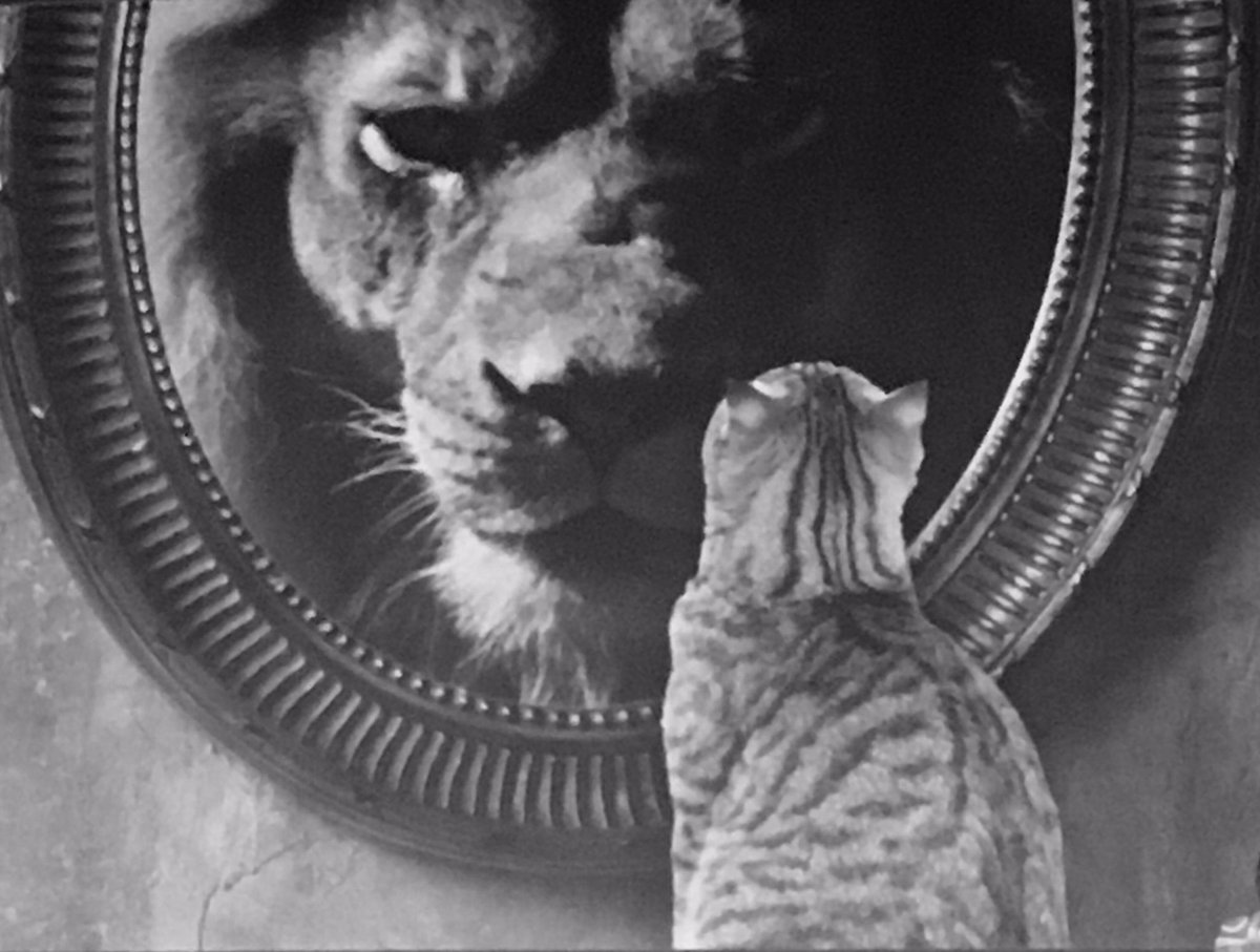 temverhagen's tweet image. Belang van #zelfreflectie en in de spiegel (durven) kijken @KikiLombarts @scem #professionalperformance