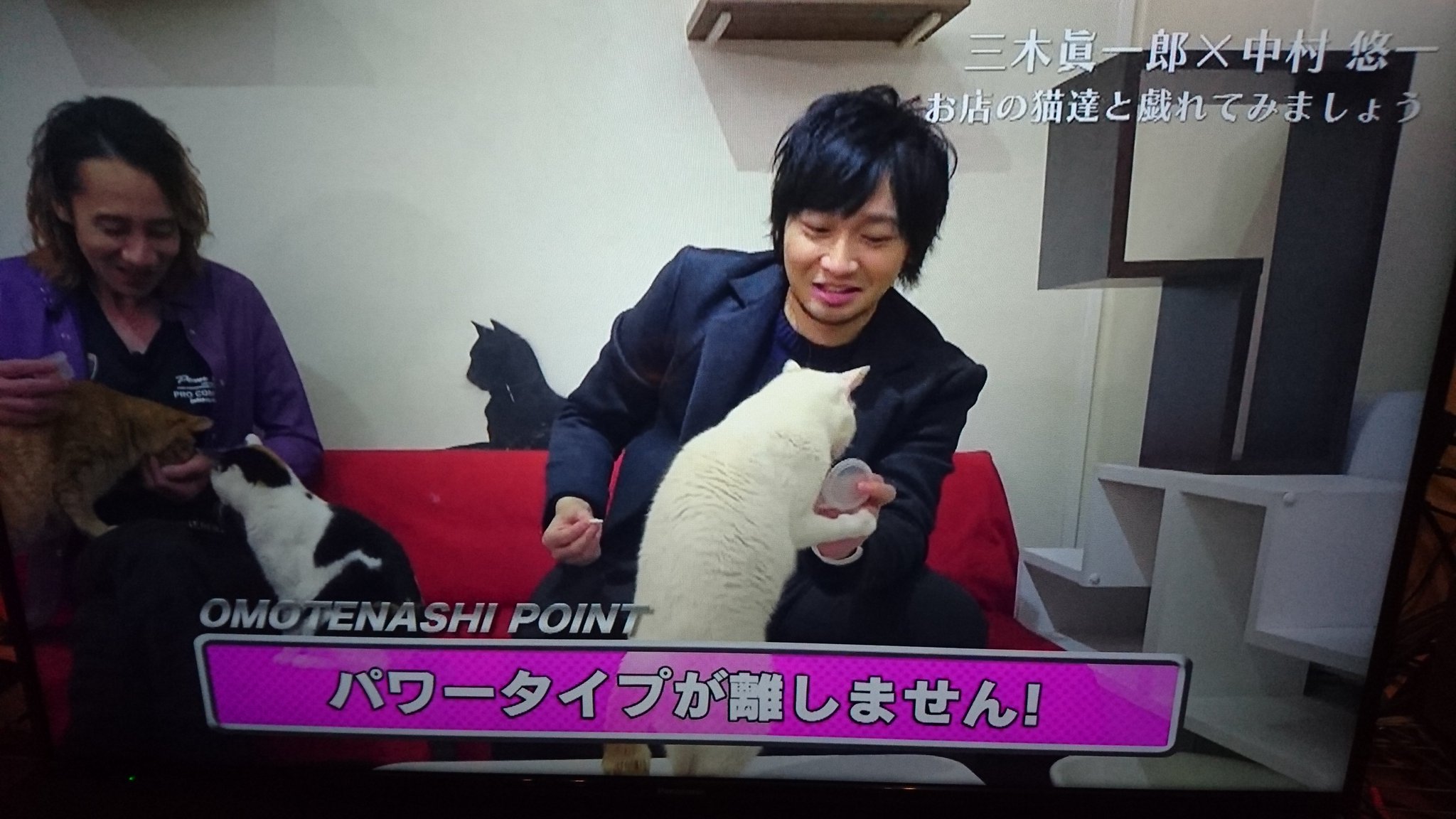 しょうタソmark1 猫好きで有名な中村悠一さんが実は猫アレルギーで猫カフェでパワータイプの猫に襲われるシーン 中村悠一